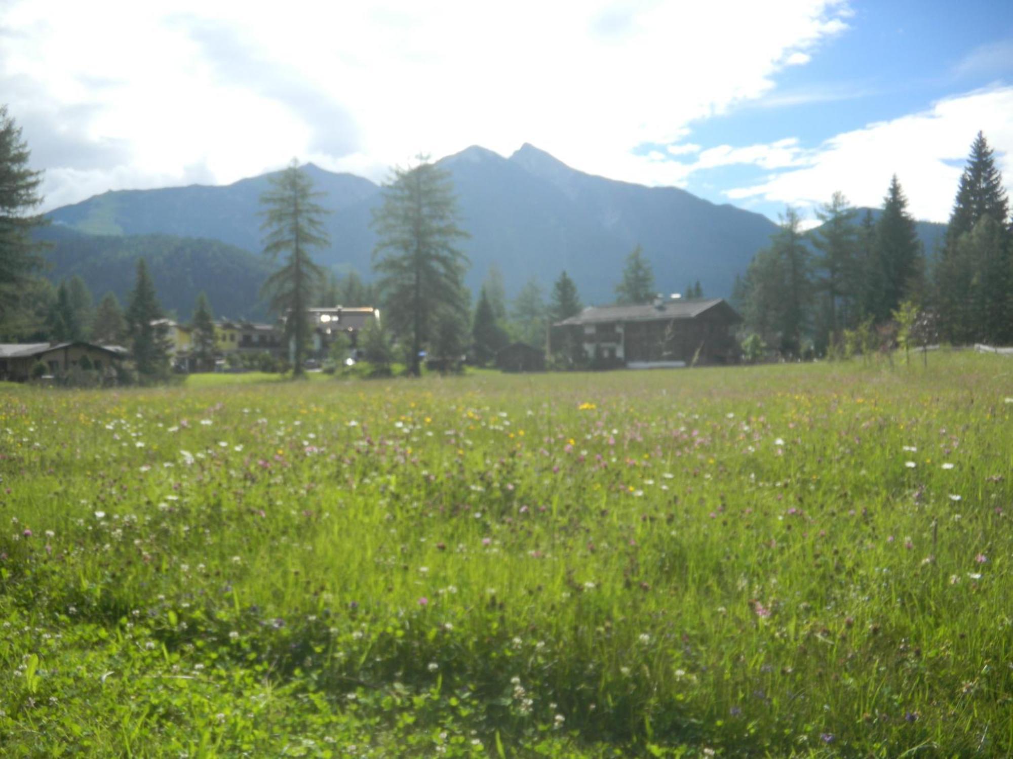 Landhaus Charlotte Am Geigenbuehel -Apartments Seefeld in Tirol Ngoại thất bức ảnh