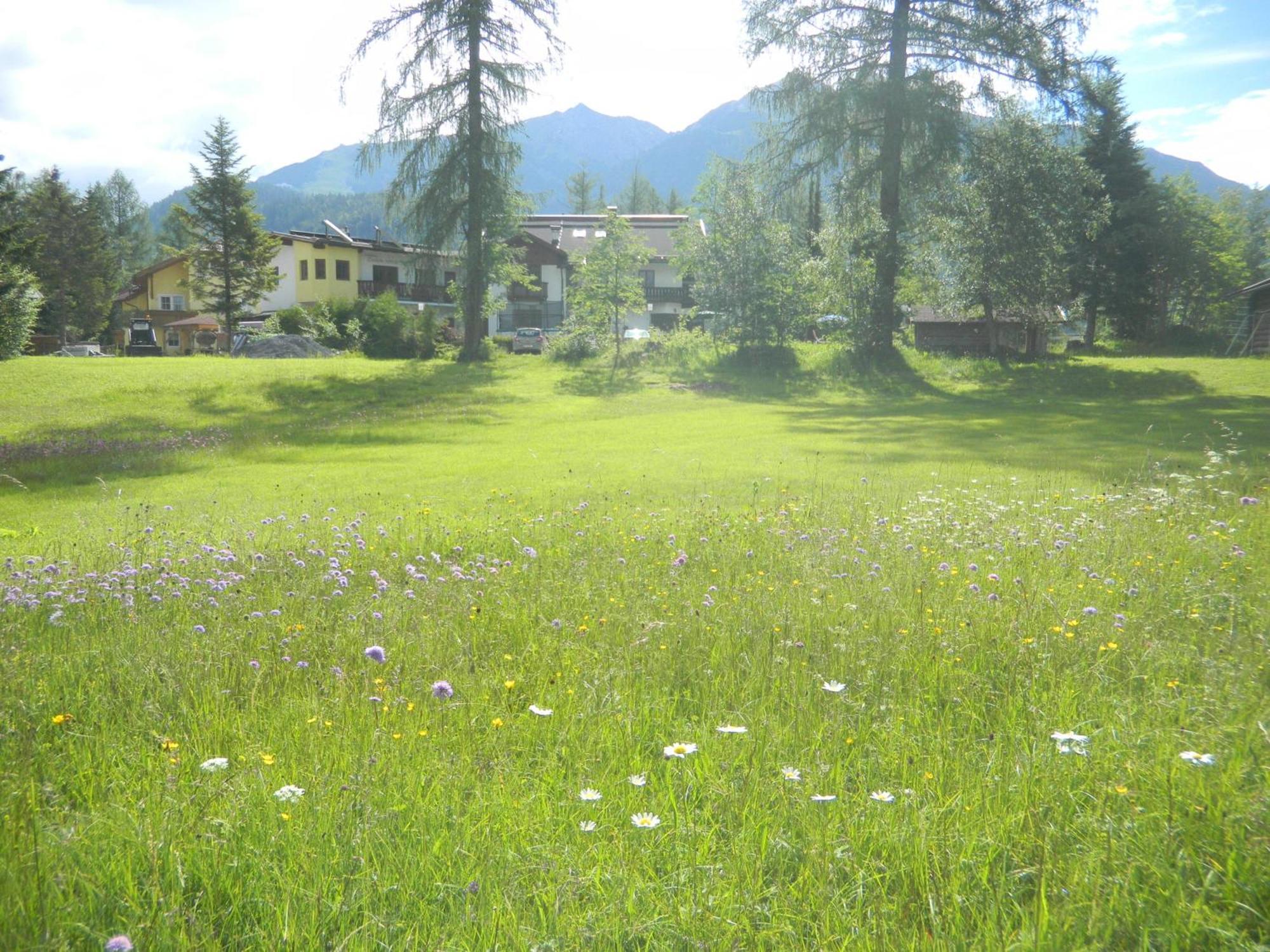 Landhaus Charlotte Am Geigenbuehel -Apartments Seefeld in Tirol Ngoại thất bức ảnh