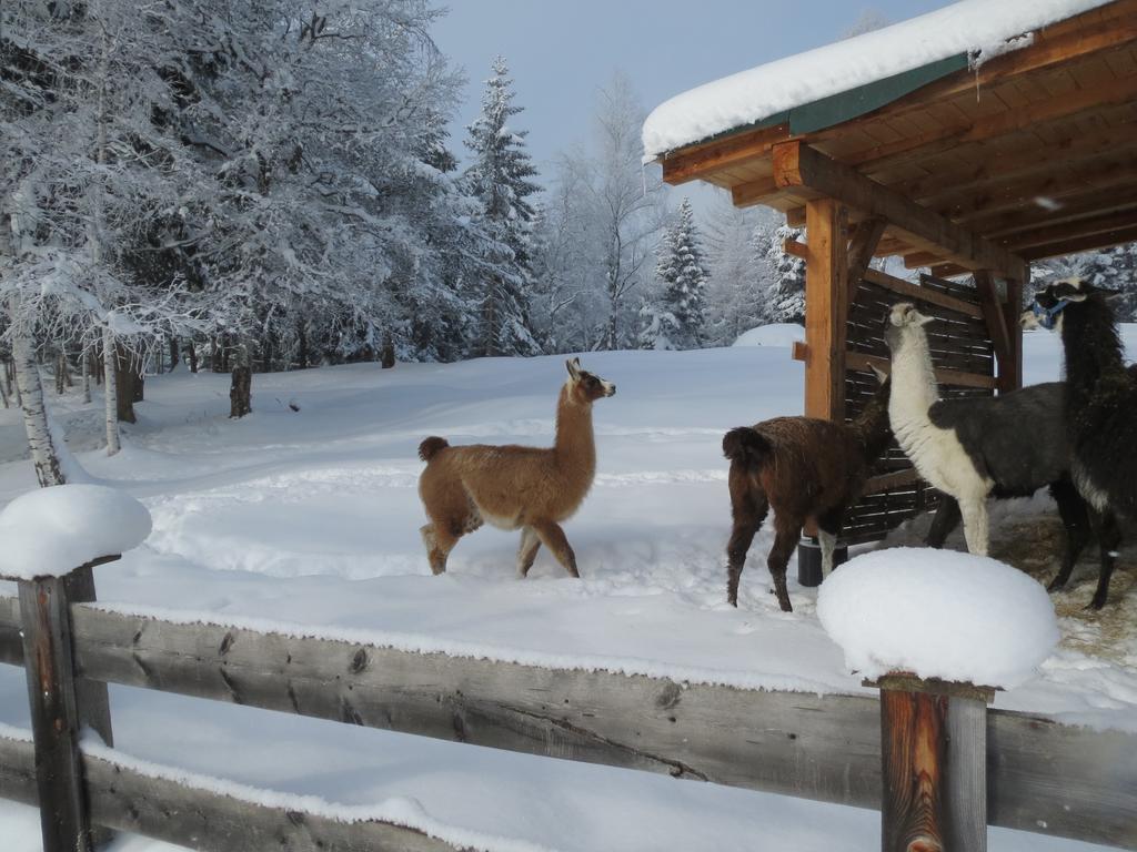 Landhaus Charlotte Am Geigenbuehel -Apartments Seefeld in Tirol Ngoại thất bức ảnh